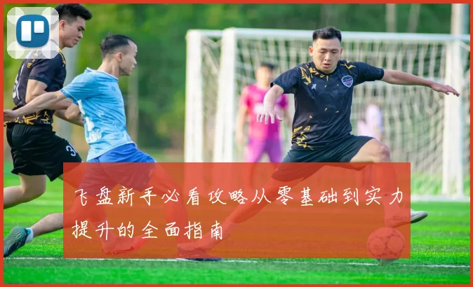 飞盘新手必看攻略从零基础到实力提升的全面指南