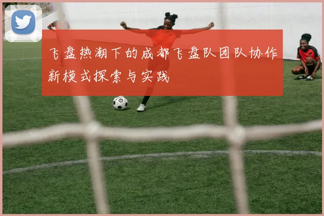 飞盘热潮下的成都飞盘队团队协作新模式探索与实践