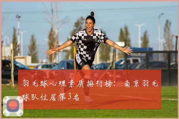 羽毛球心理素质排行榜:南京羽毛球队位居第3名