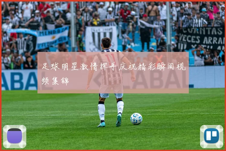 足球明星激情挥手庆祝精彩瞬间视频集锦