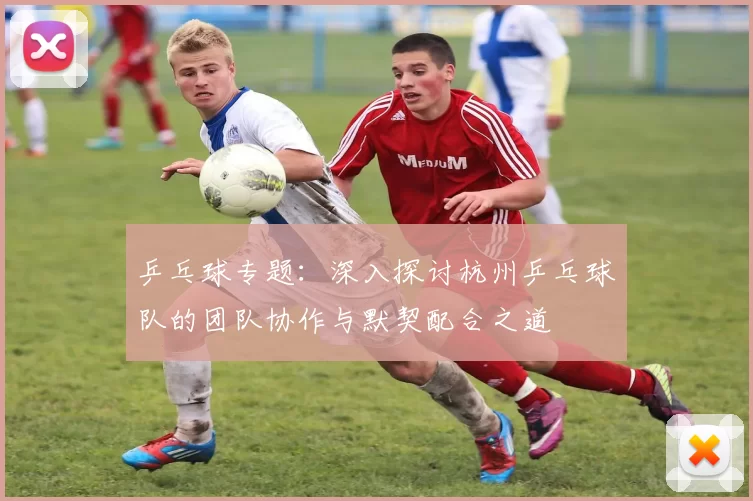 乒乓球专题：深入探讨杭州乒乓球队的团队协作与默契配合之道