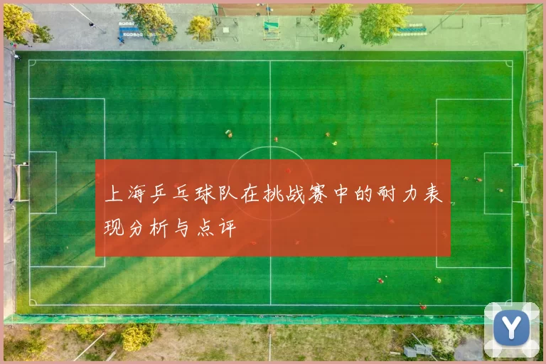 上海乒乓球队在挑战赛中的耐力表现分析与点评