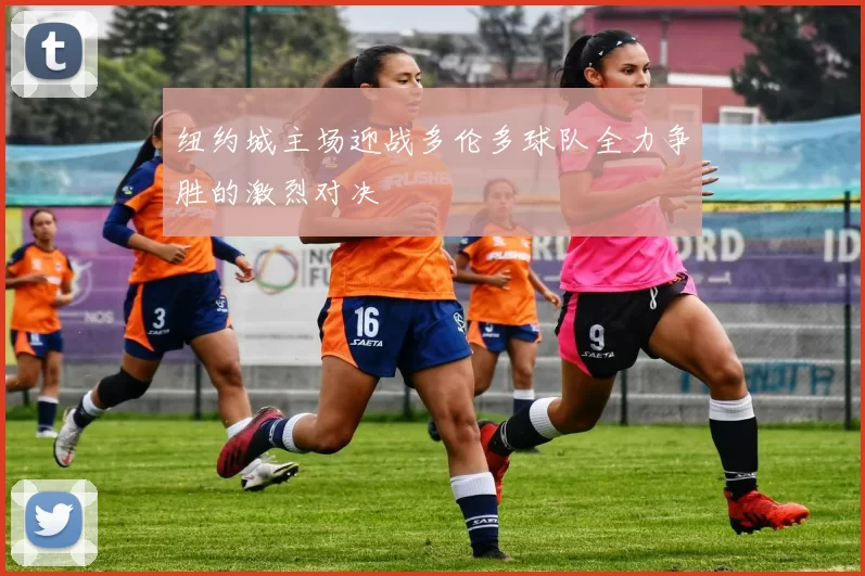 纽约城主场迎战多伦多球队全力争胜的激烈对决