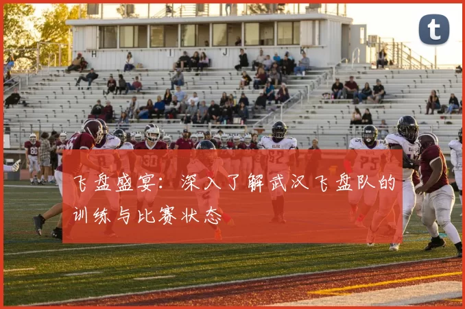 飞盘盛宴：深入了解武汉飞盘队的训练与比赛状态