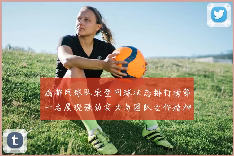 成都网球队荣登网球状态排行榜第一名展现强劲实力与团队合作精神