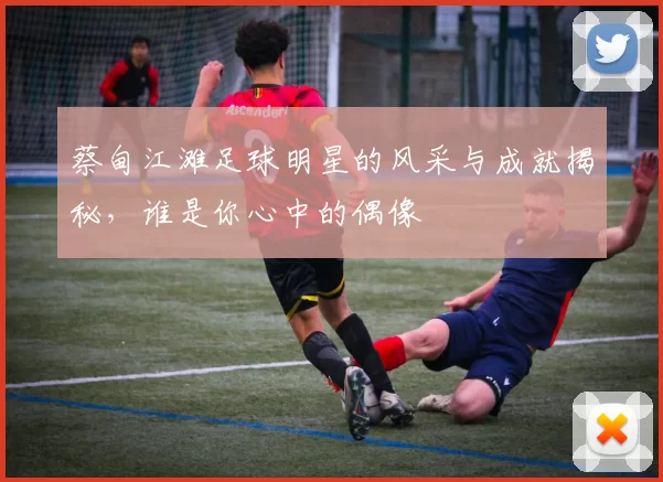 蔡甸江滩足球明星的风采与成就揭秘，谁是你心中的偶像
