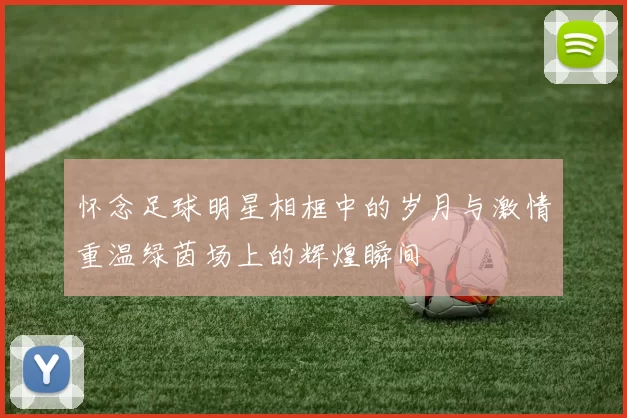 怀念足球明星相框中的岁月与激情重温绿茵场上的辉煌瞬间