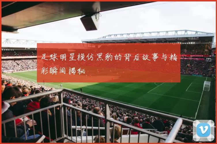 足球明星模仿黑豹的背后故事与精彩瞬间揭秘
