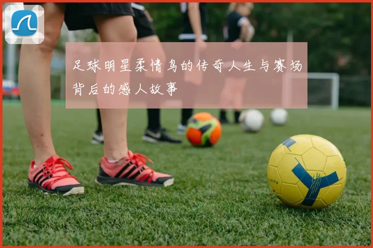 足球明星柔情鸟的传奇人生与赛场背后的感人故事