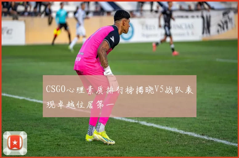 CSGO心理素质排行榜揭晓V5战队表现卓越位居第一