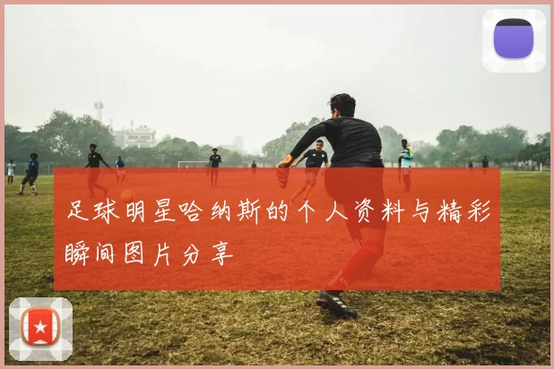 足球明星哈纳斯的个人资料与精彩瞬间图片分享
