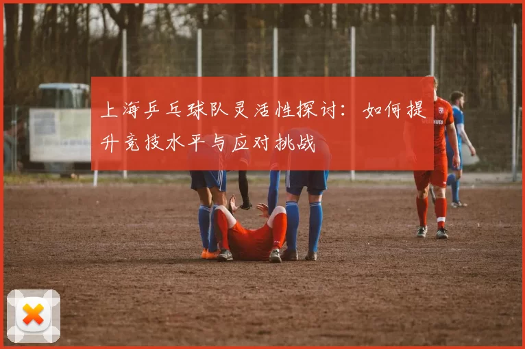 上海乒乓球队灵活性探讨：如何提升竞技水平与应对挑战