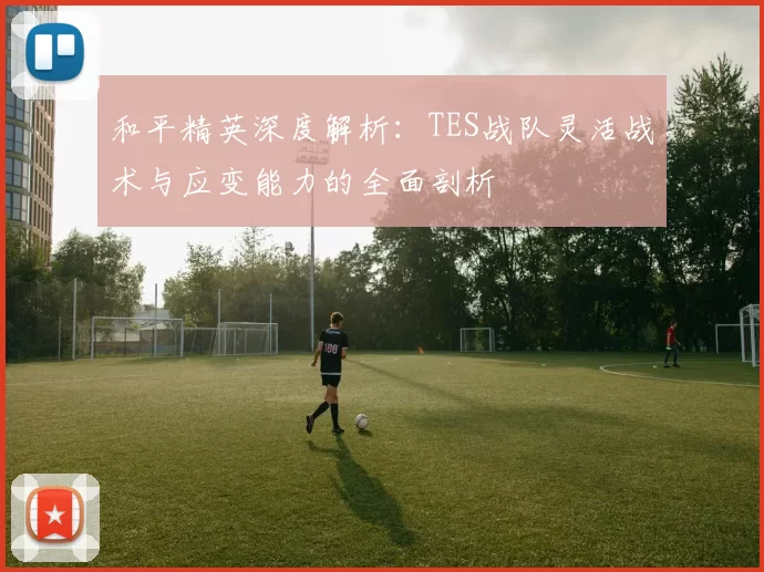 和平精英深度解析：TES战队灵活战术与应变能力的全面剖析