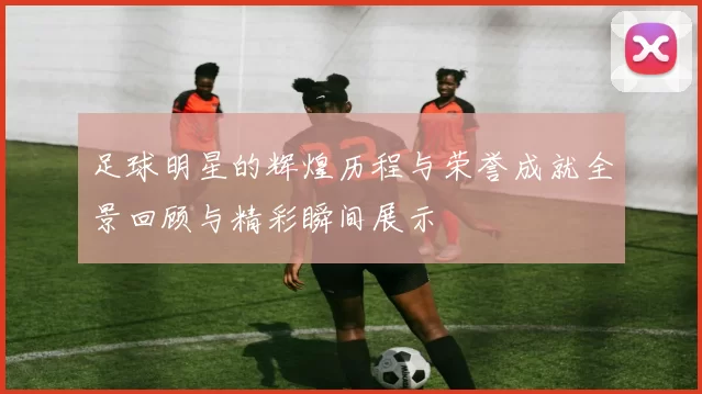 足球明星的辉煌历程与荣誉成就全景回顾与精彩瞬间展示