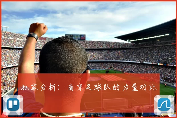 独家分析：南京足球队的力量对比
