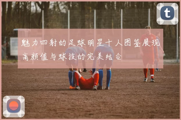 魅力四射的足球明星十人图鉴展现高颜值与球技的完美结合