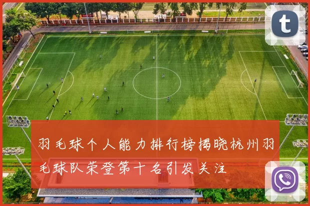 羽毛球个人能力排行榜揭晓杭州羽毛球队荣登第十名引发关注