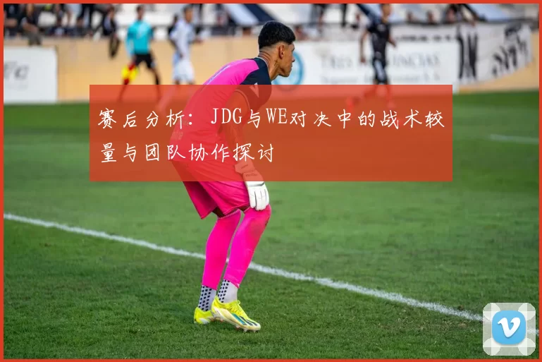赛后分析：JDG与WE对决中的战术较量与团队协作探讨