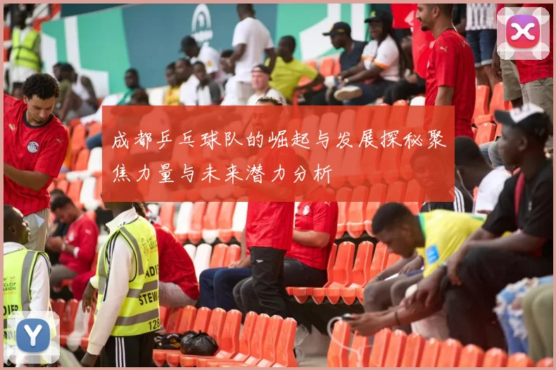 成都乒乓球队的崛起与发展探秘聚焦力量与未来潜力分析