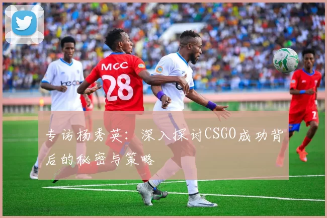 专访杨秀英:深入探讨CSGO成功背后的秘密与策略
