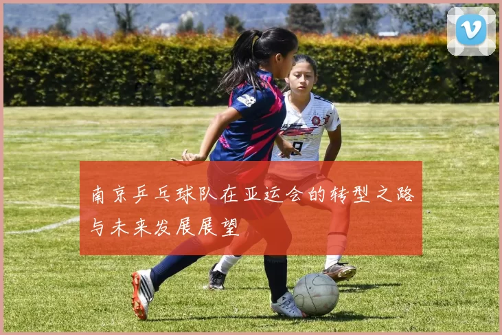南京乒乓球队在亚运会的转型之路与未来发展展望