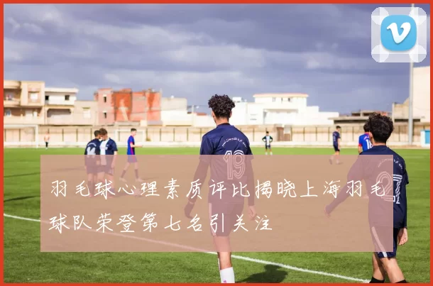 羽毛球心理素质评比揭晓上海羽毛球队荣登第七名引关注