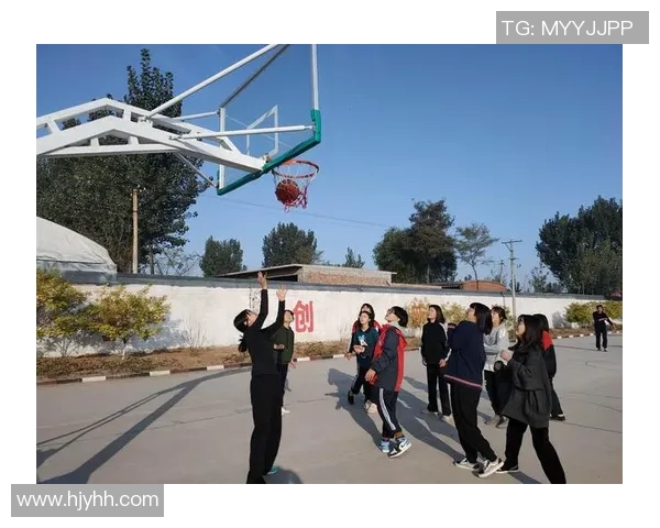 杨静独家分享排球技巧与心得助你提升球技的秘诀与经验总结